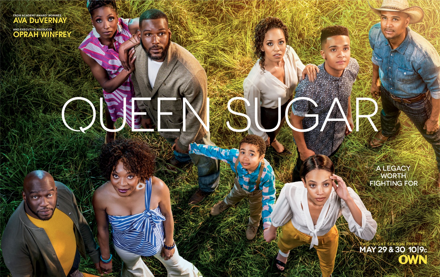 Extra Large TV Poster Image for Queen Sugar (#3 of 7)