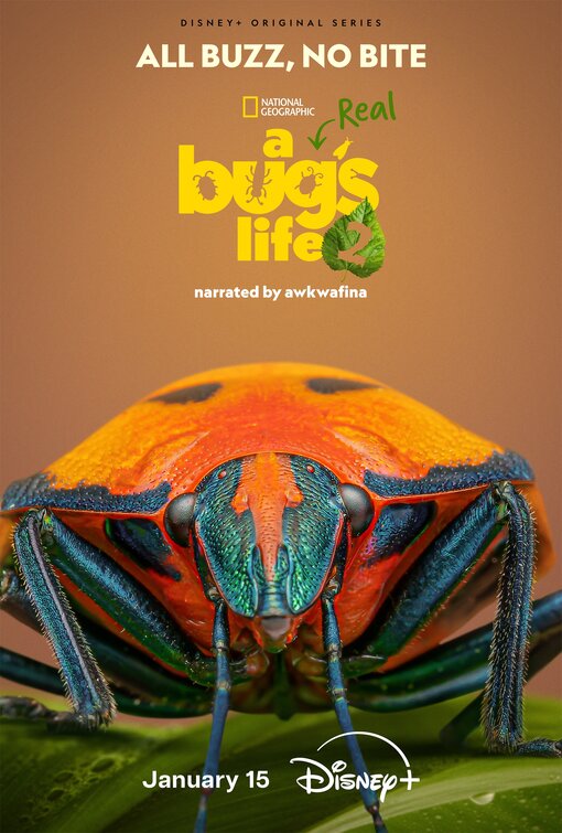 A Real Bug's Life Movie Poster