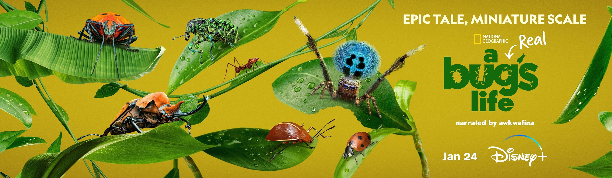 Mega Sized TV Poster Image for A Real Bug's Life (#2 of 7)