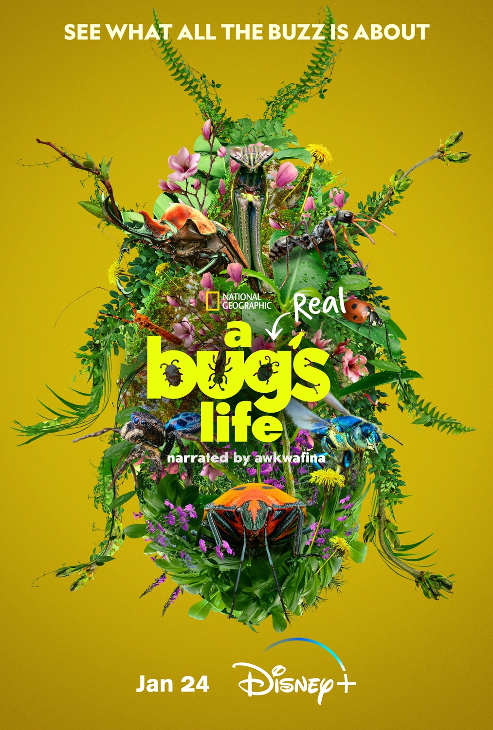 Extra Large TV Poster Image for A Real Bug's Life (#3 of 7)