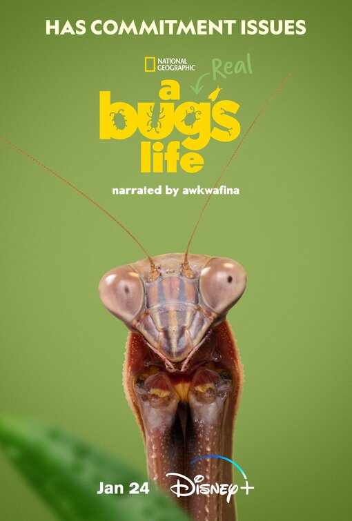 A Real Bug's Life Movie Poster