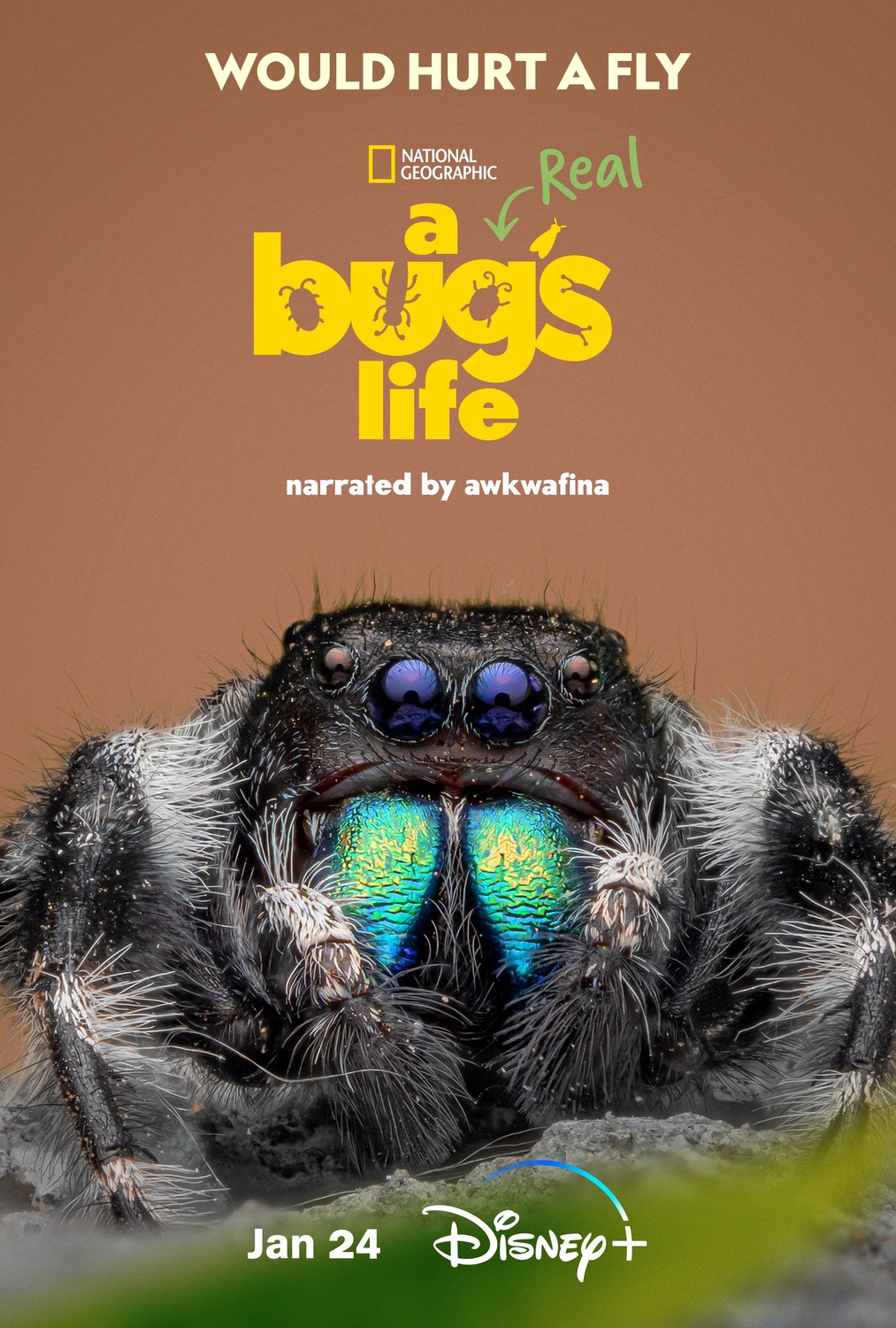 Extra Large TV Poster Image for A Real Bug's Life (#6 of 7)