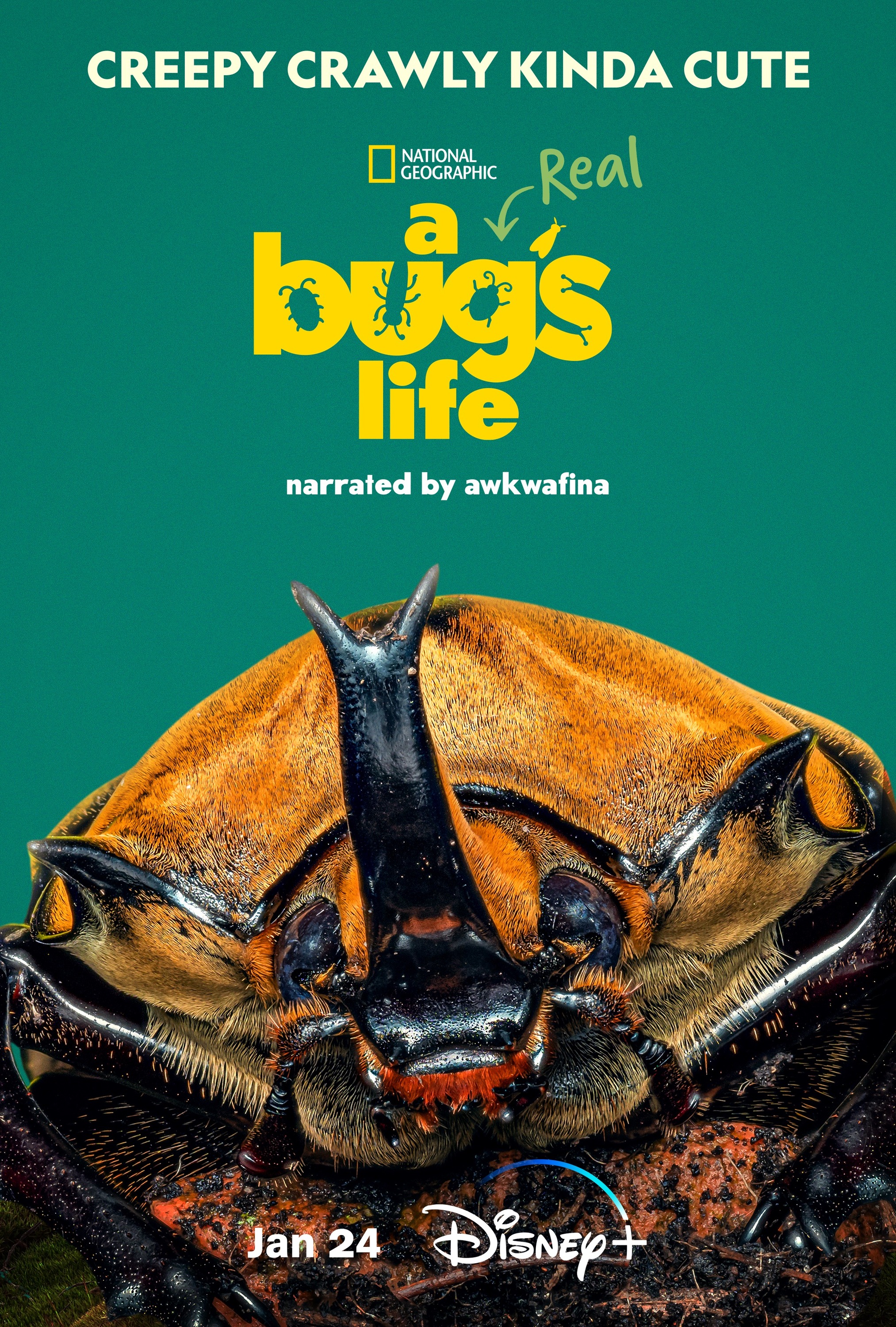 Mega Sized TV Poster Image for A Real Bug's Life (#7 of 7)