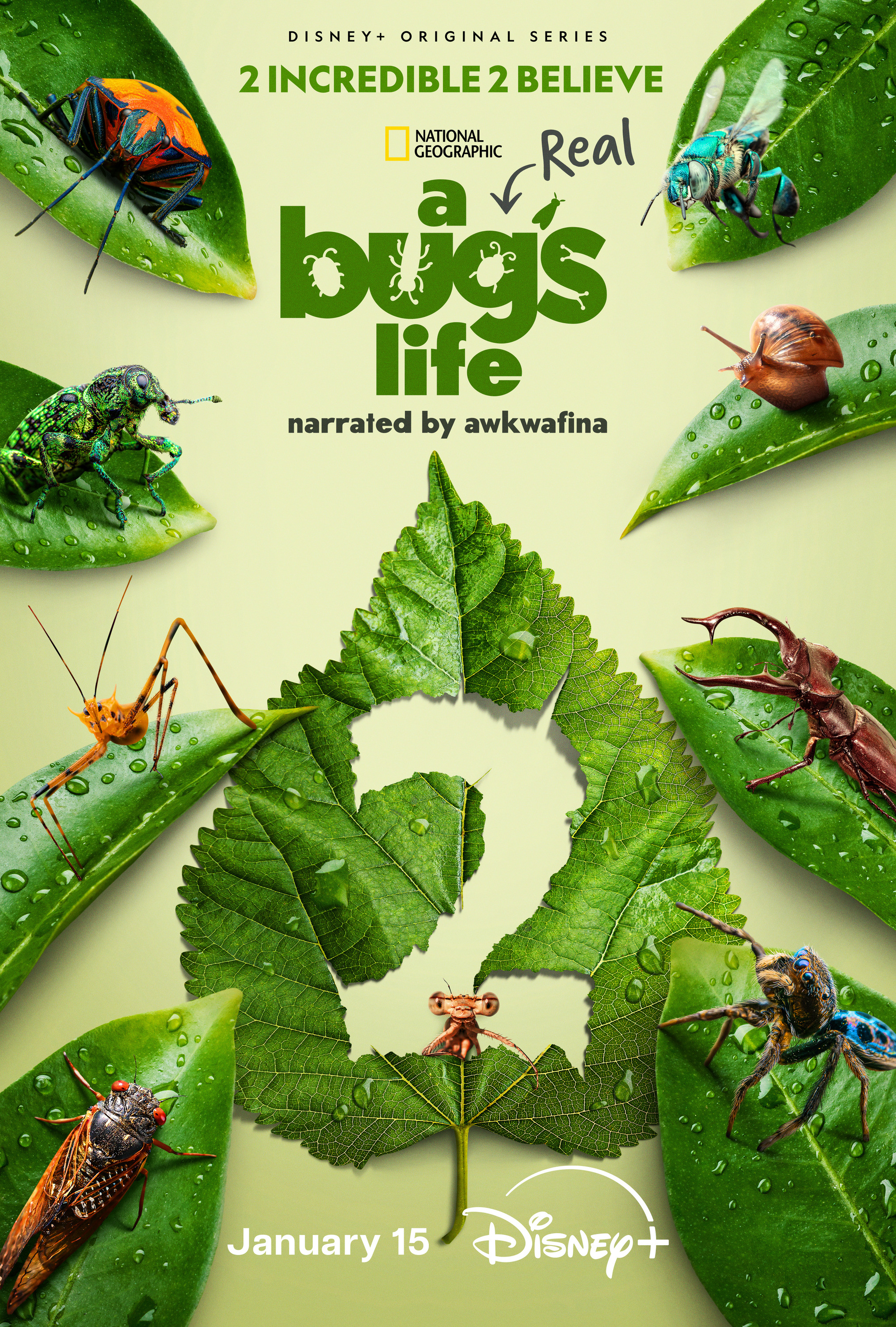 Mega Sized TV Poster Image for A Real Bug's Life (#8 of 13)