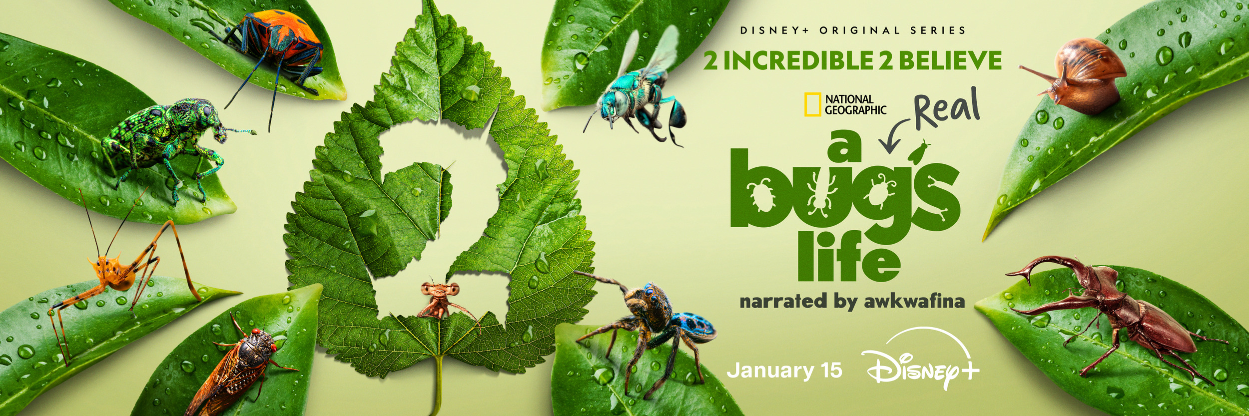 Mega Sized TV Poster Image for A Real Bug's Life (#9 of 13)