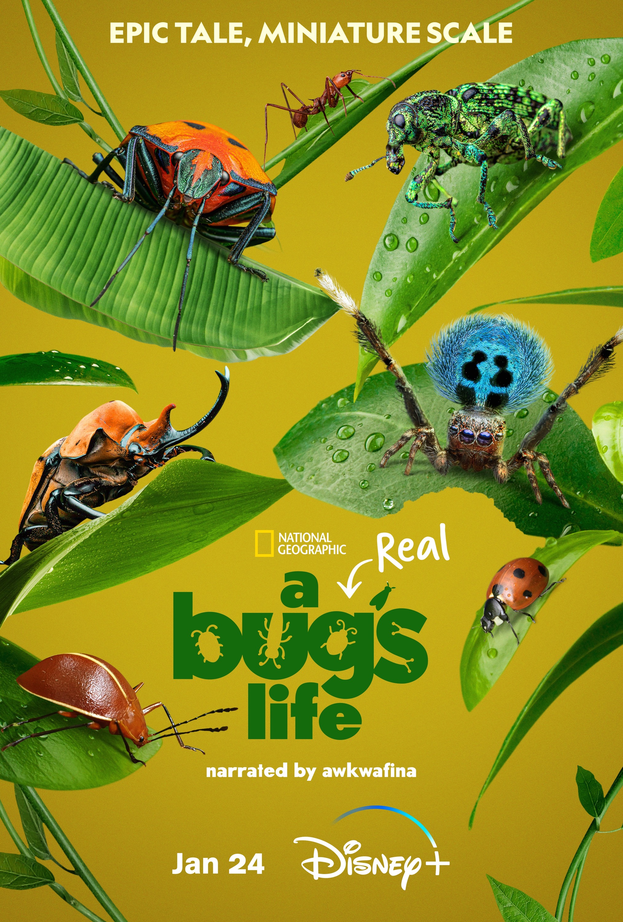 Mega Sized TV Poster Image for A Real Bug's Life (#1 of 7)