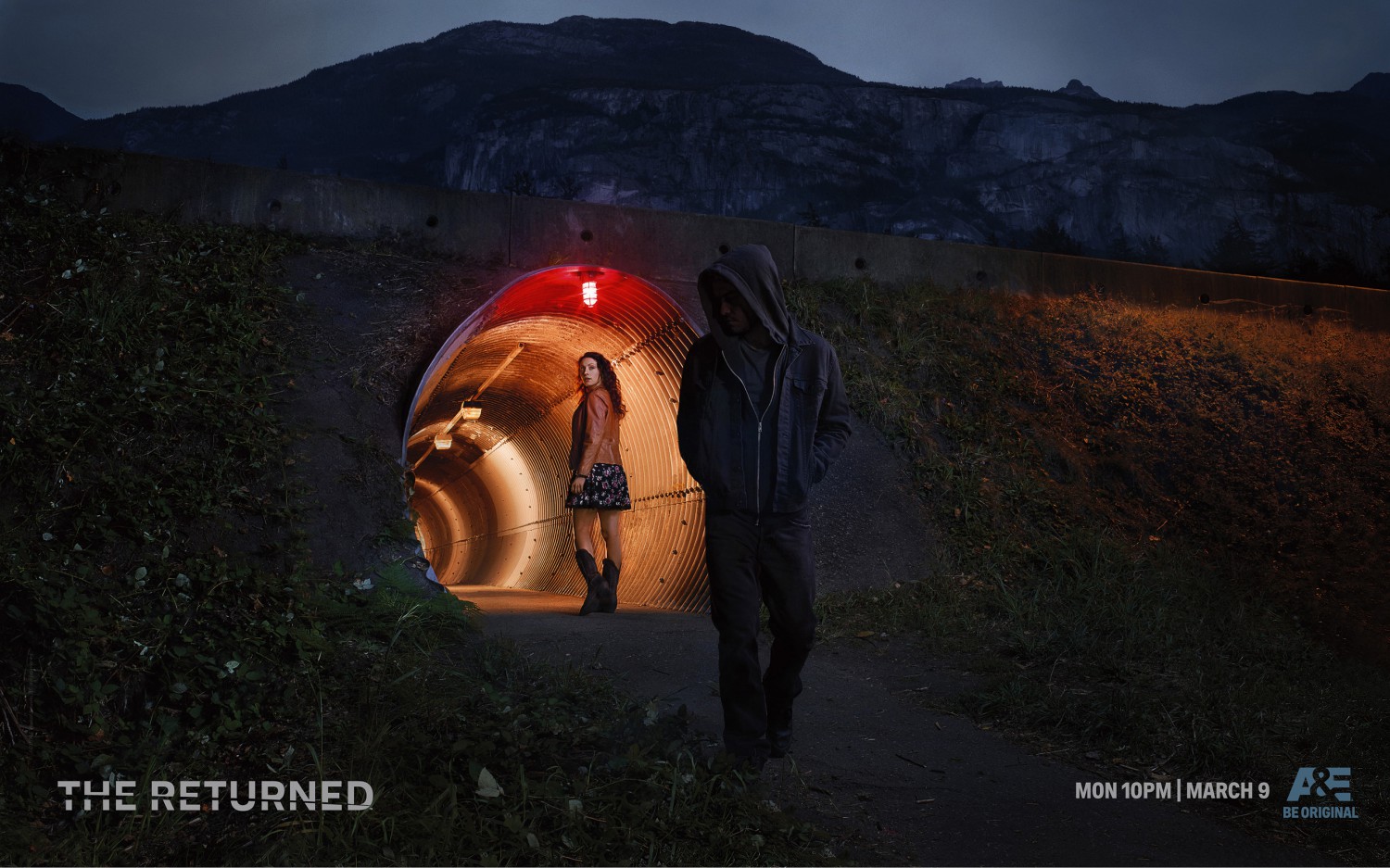 Extra Large TV Poster Image for The Returned (#6 of 8)
