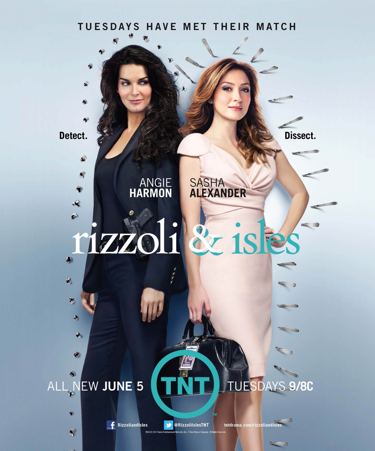 Extra Large TV Poster Image for Rizzoli & Isles (#5 of 11)