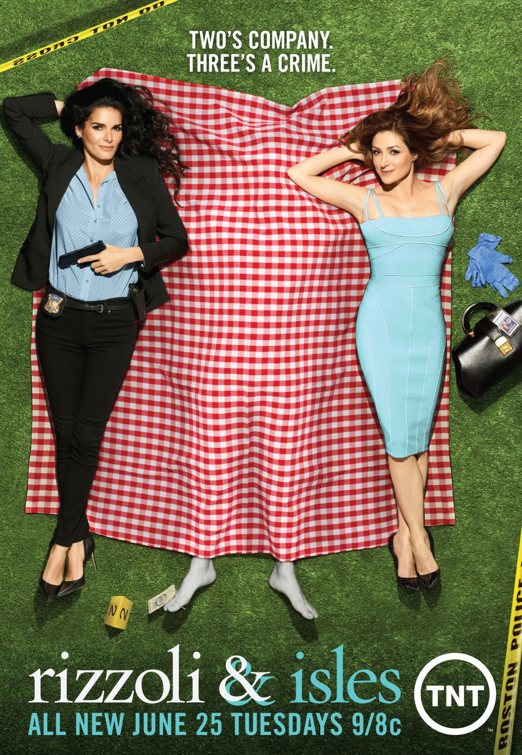 Extra Large TV Poster Image for Rizzoli & Isles (#8 of 11)