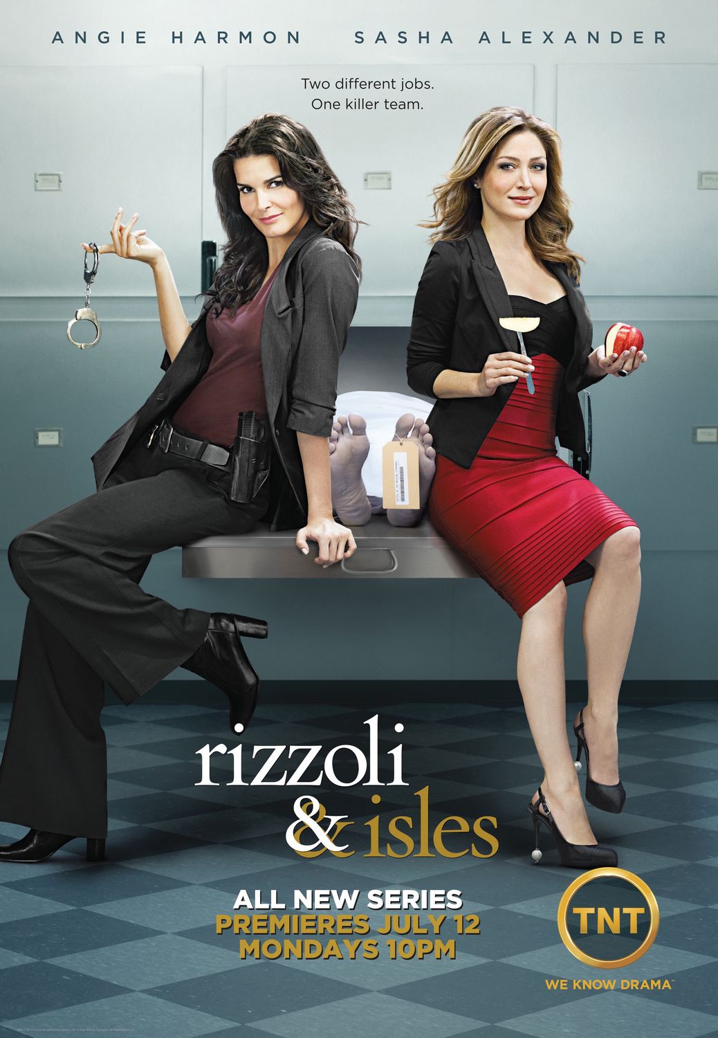 Extra Large TV Poster Image for Rizzoli & Isles (#1 of 11)