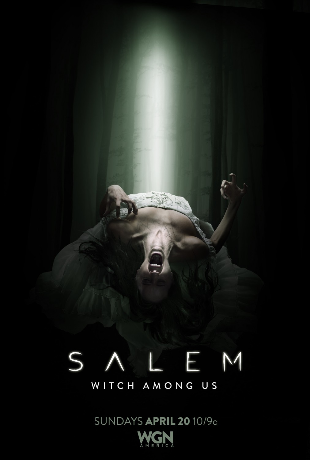 Extra Large TV Poster Image for Salem (#5 of 12)