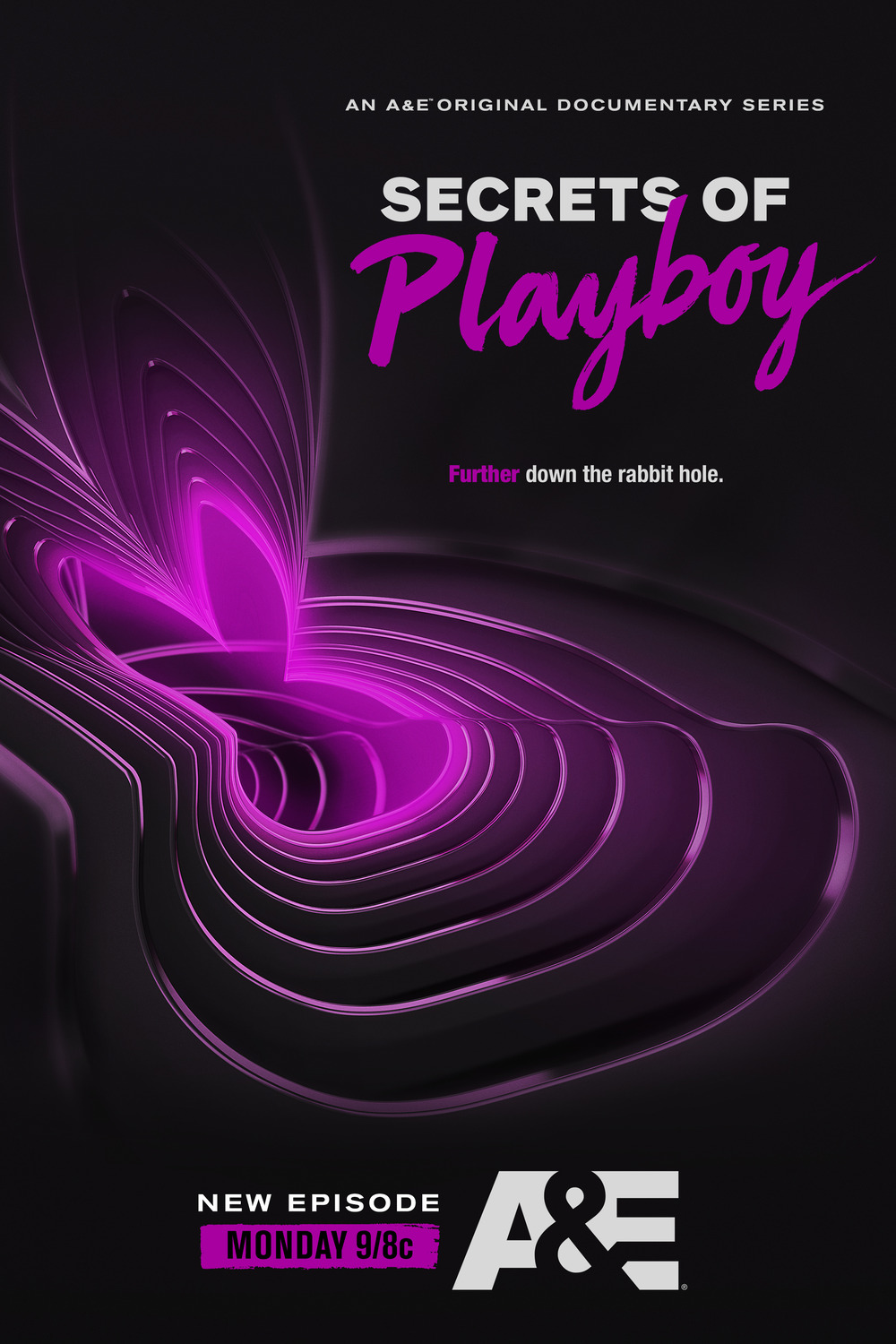 Extra Large TV Poster Image for Secrets of Playboy (#2 of 3)