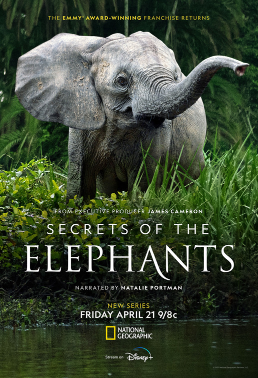 Secrets of the Elephants Movie Poster