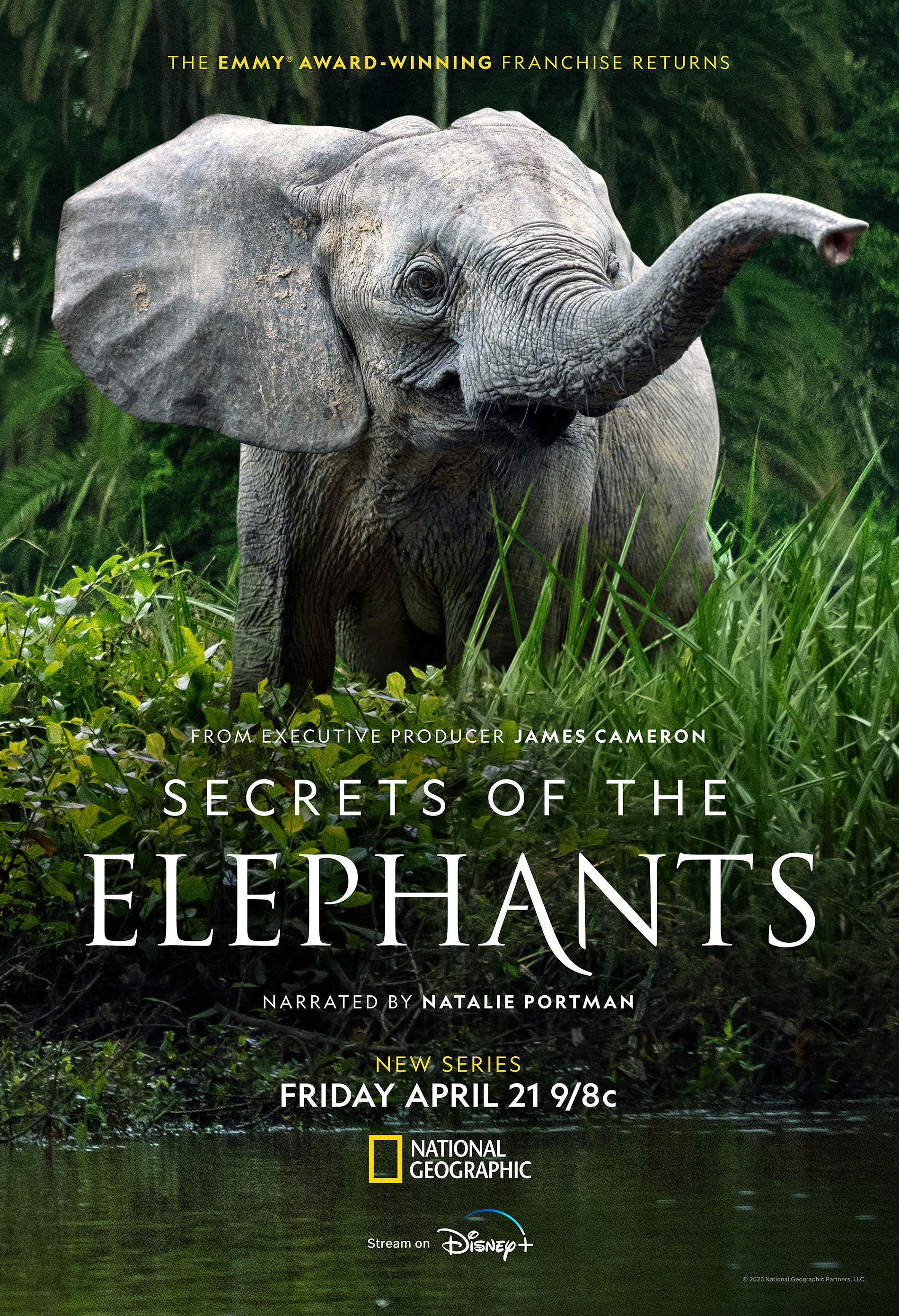 Mega Sized TV Poster Image for Secrets of the Elephants 