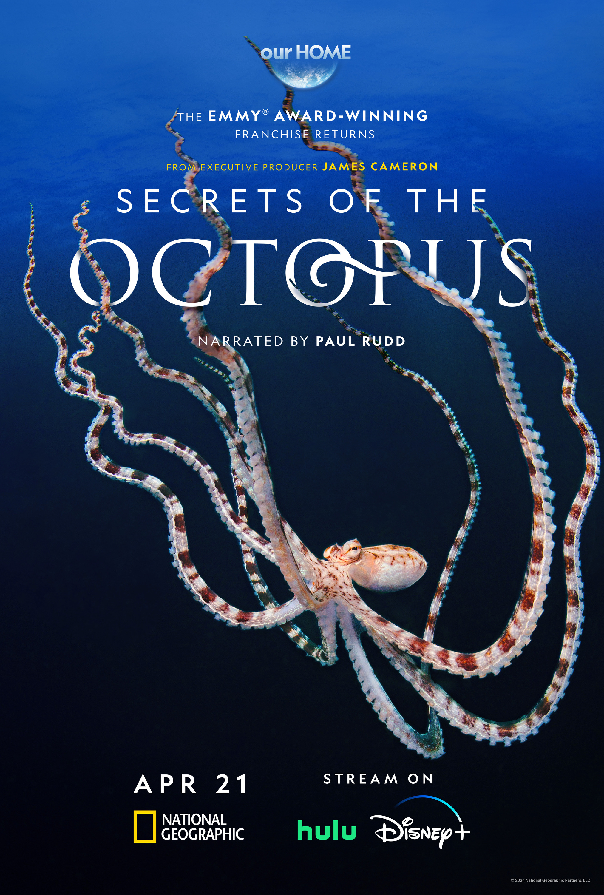 Mega Sized TV Poster Image for Secrets of the Octopus 