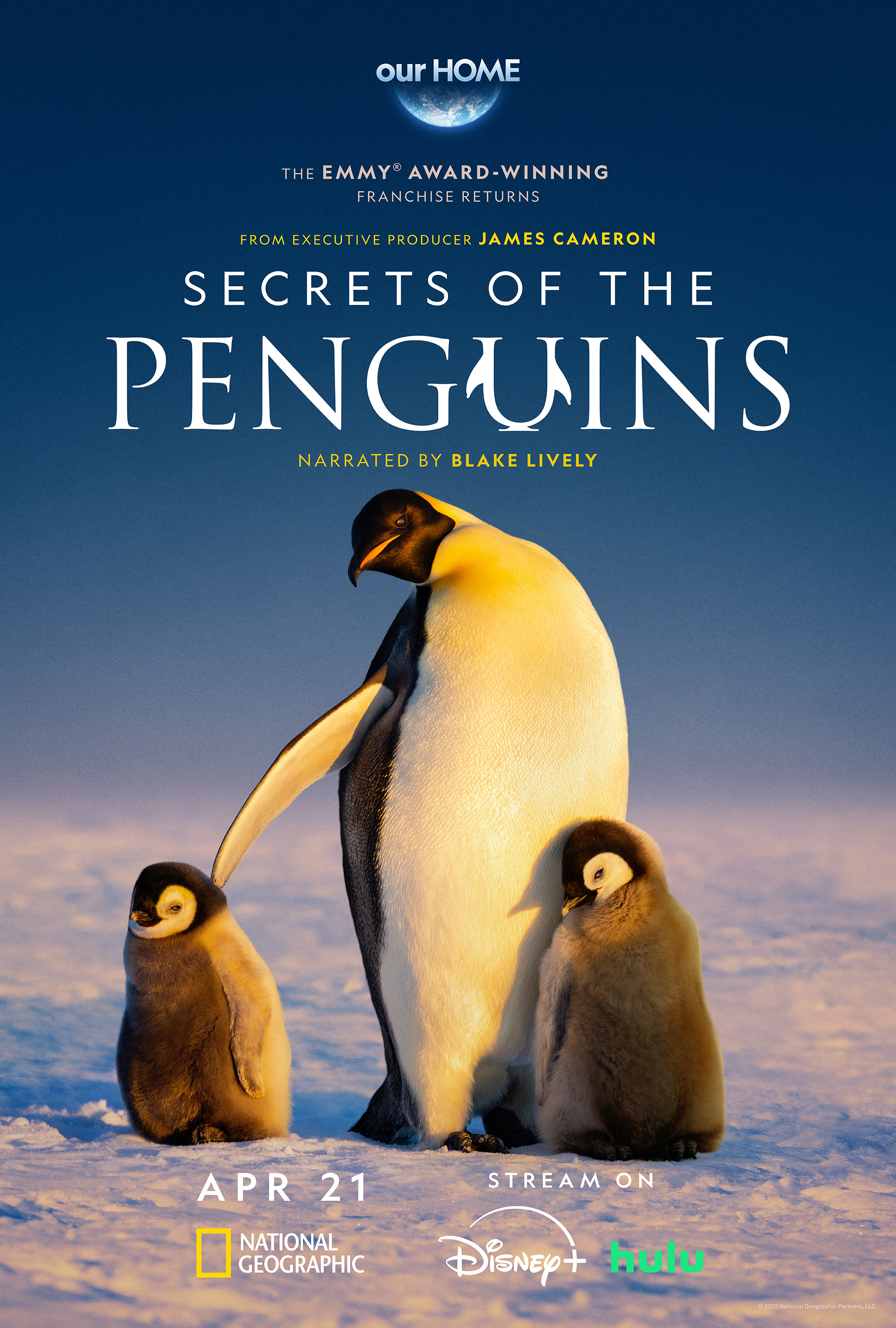 Mega Sized TV Poster Image for Secrets of the Penguins 