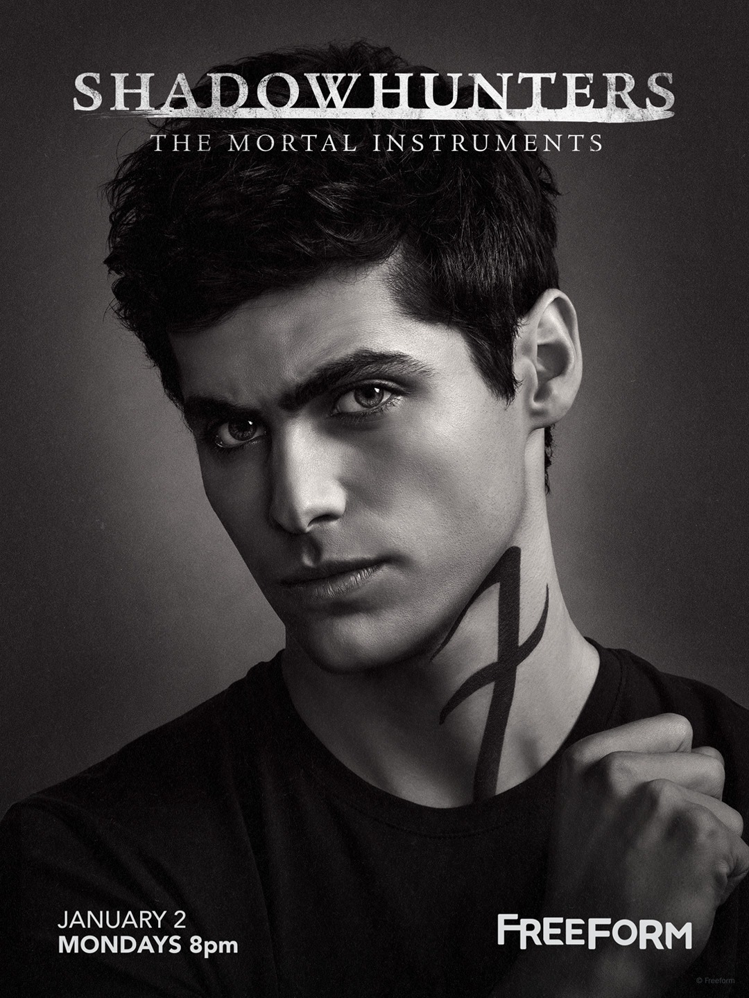 Extra Large Movie Poster Image for Shadowhunters: The Mortal Instruments (#12 of 19)