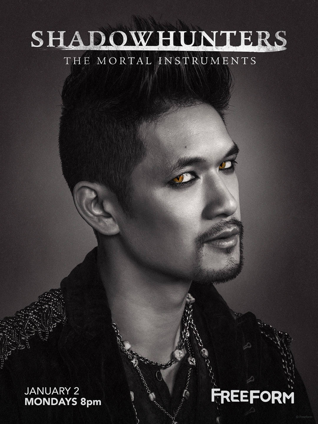 Extra Large Movie Poster Image for Shadowhunters: The Mortal Instruments (#13 of 19)