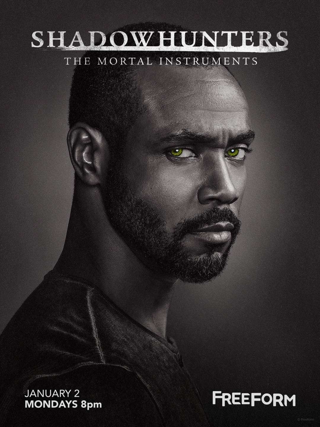 Extra Large TV Poster Image for Shadowhunters: The Mortal Instruments (#15 of 19)