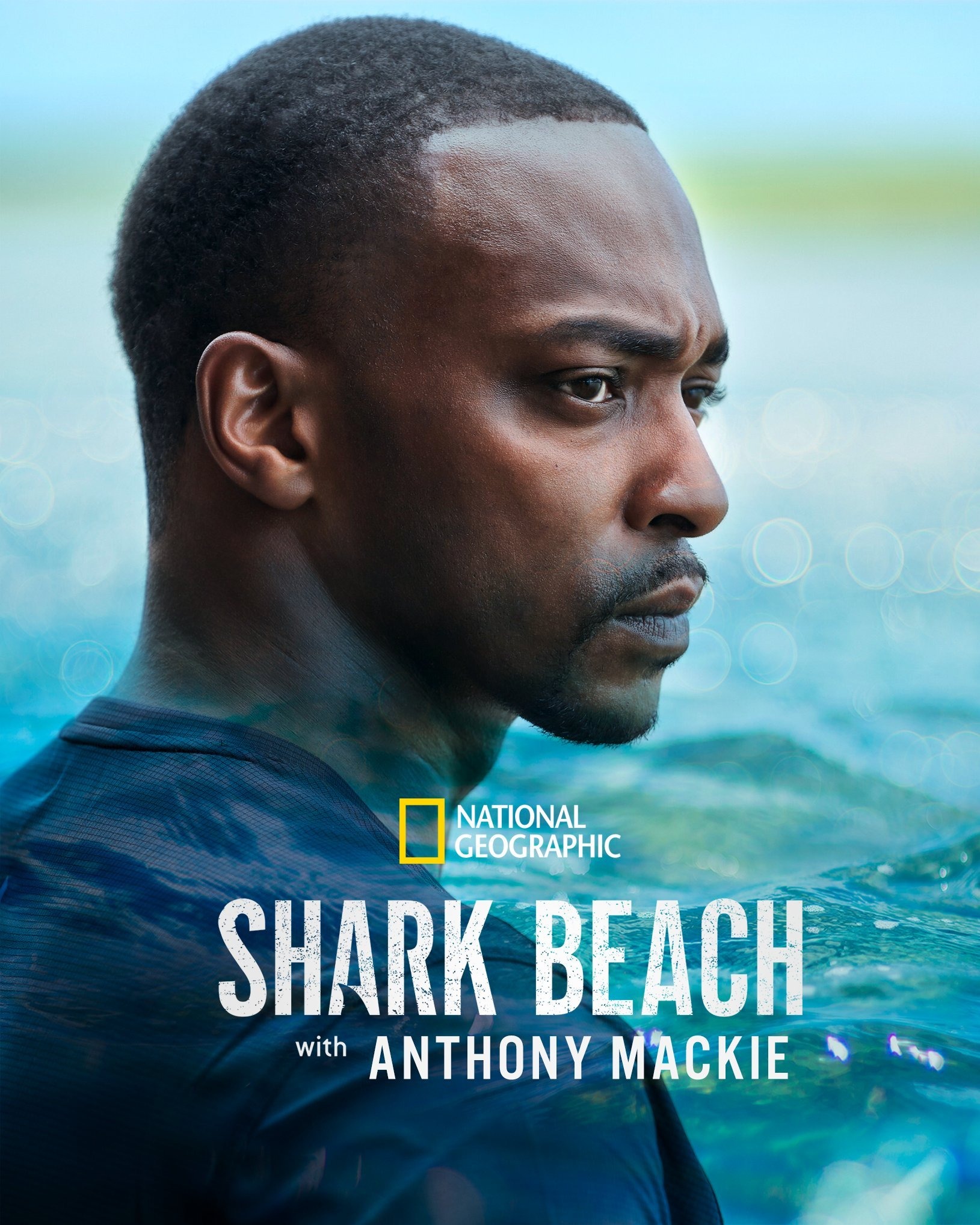 Mega Sized TV Poster Image for Shark Beach with Anthony Mackie 