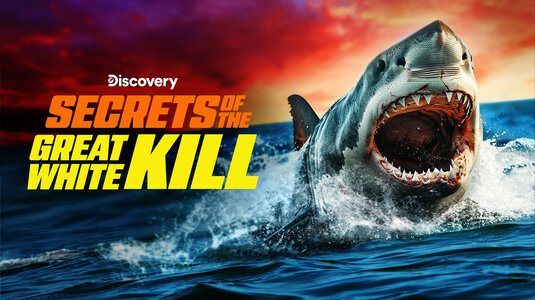 Shark Week Movie Poster