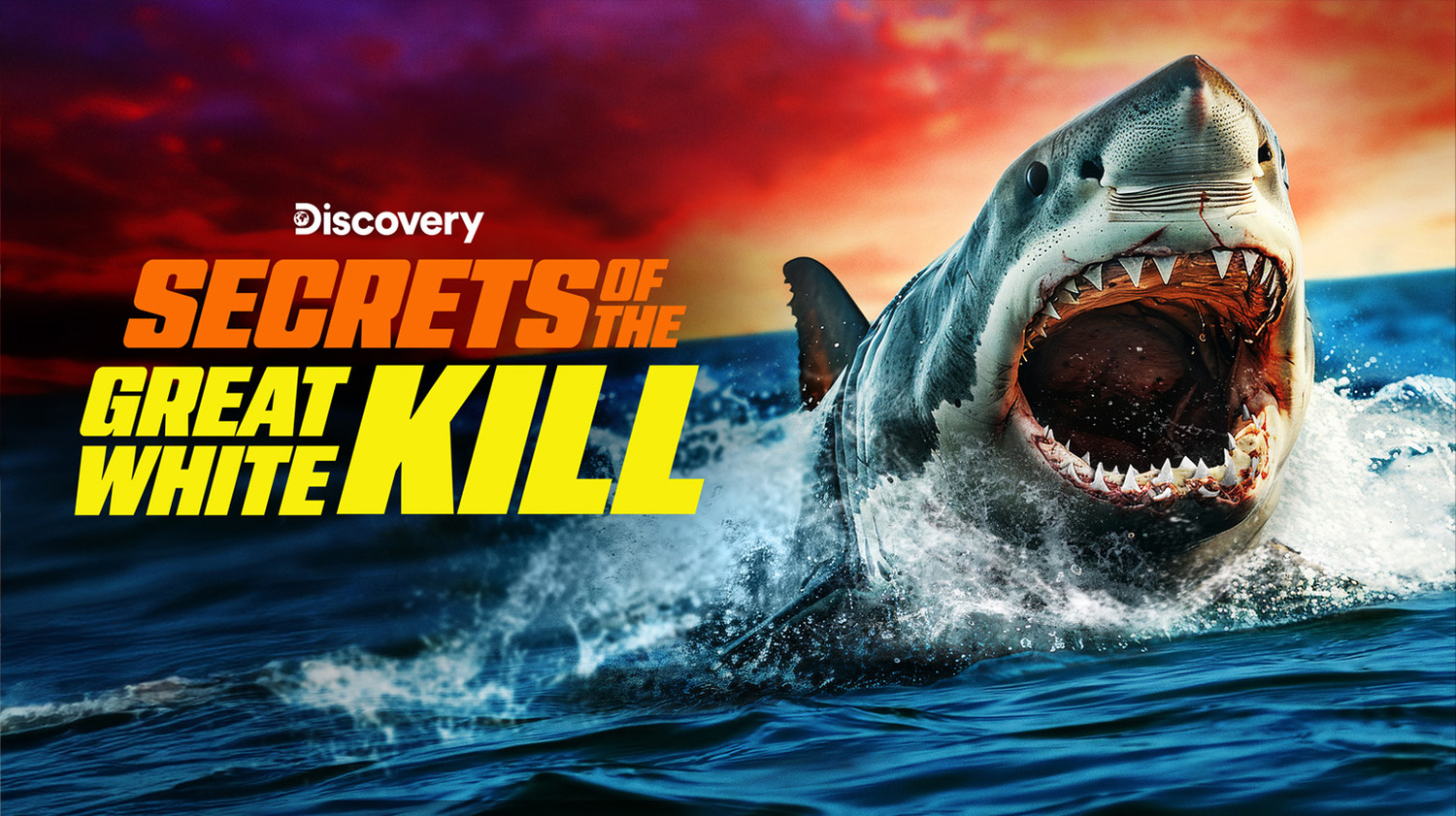 Extra Large TV Poster Image for Shark Week (#19 of 25)