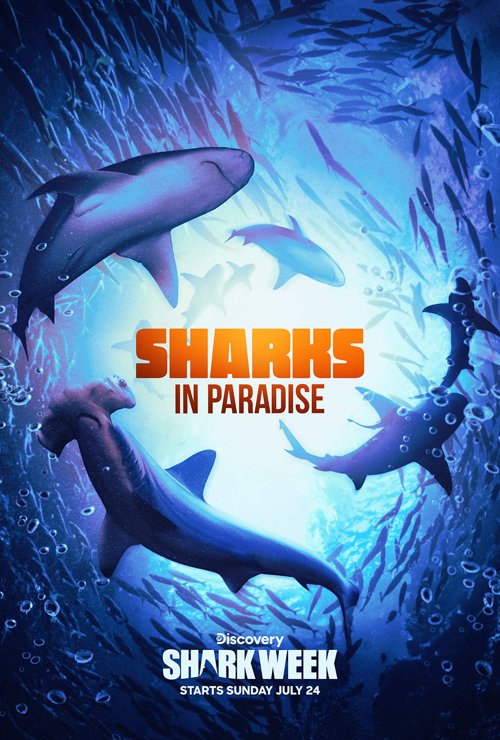 Extra Large TV Poster Image for Sharks in Paradise 