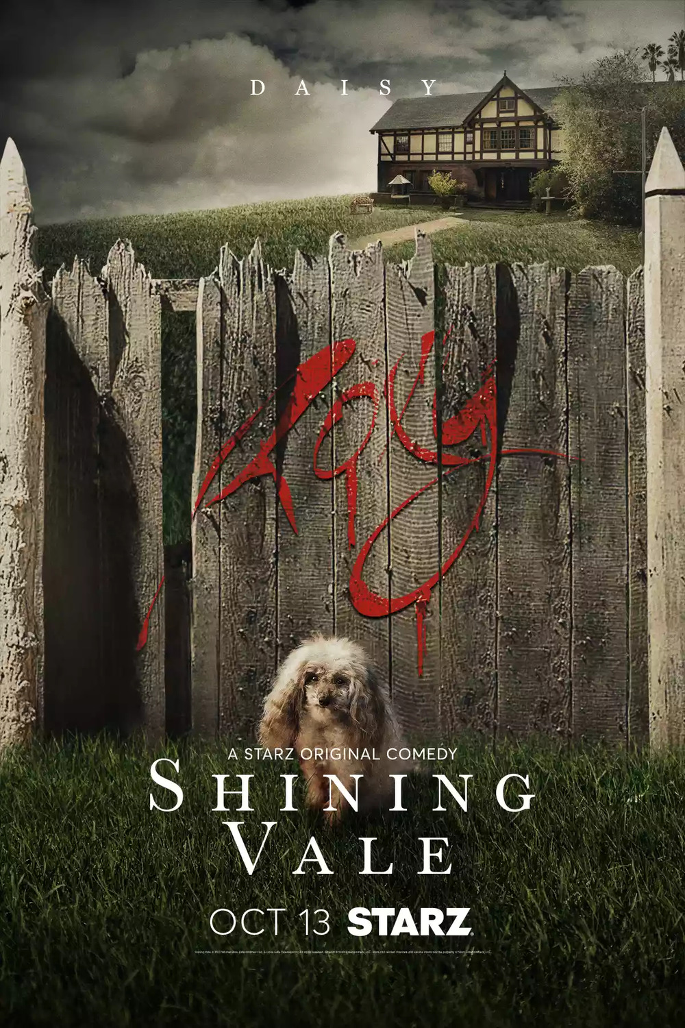 Extra Large TV Poster Image for Shining Vale (#10 of 11)