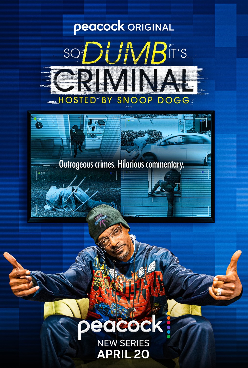 Extra Large TV Poster Image for So Dumb It's Criminal: Hosted by Snoop Dogg 