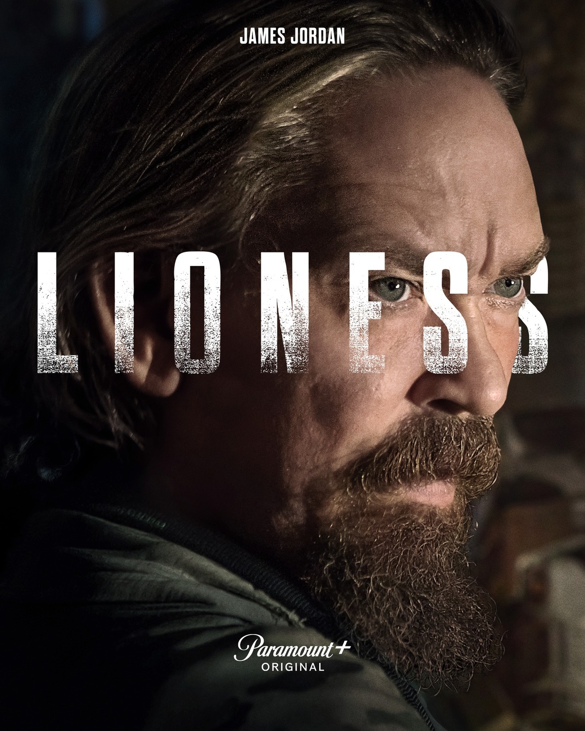 Extra Large TV Poster Image for Special Ops: Lioness (#22 of 28)