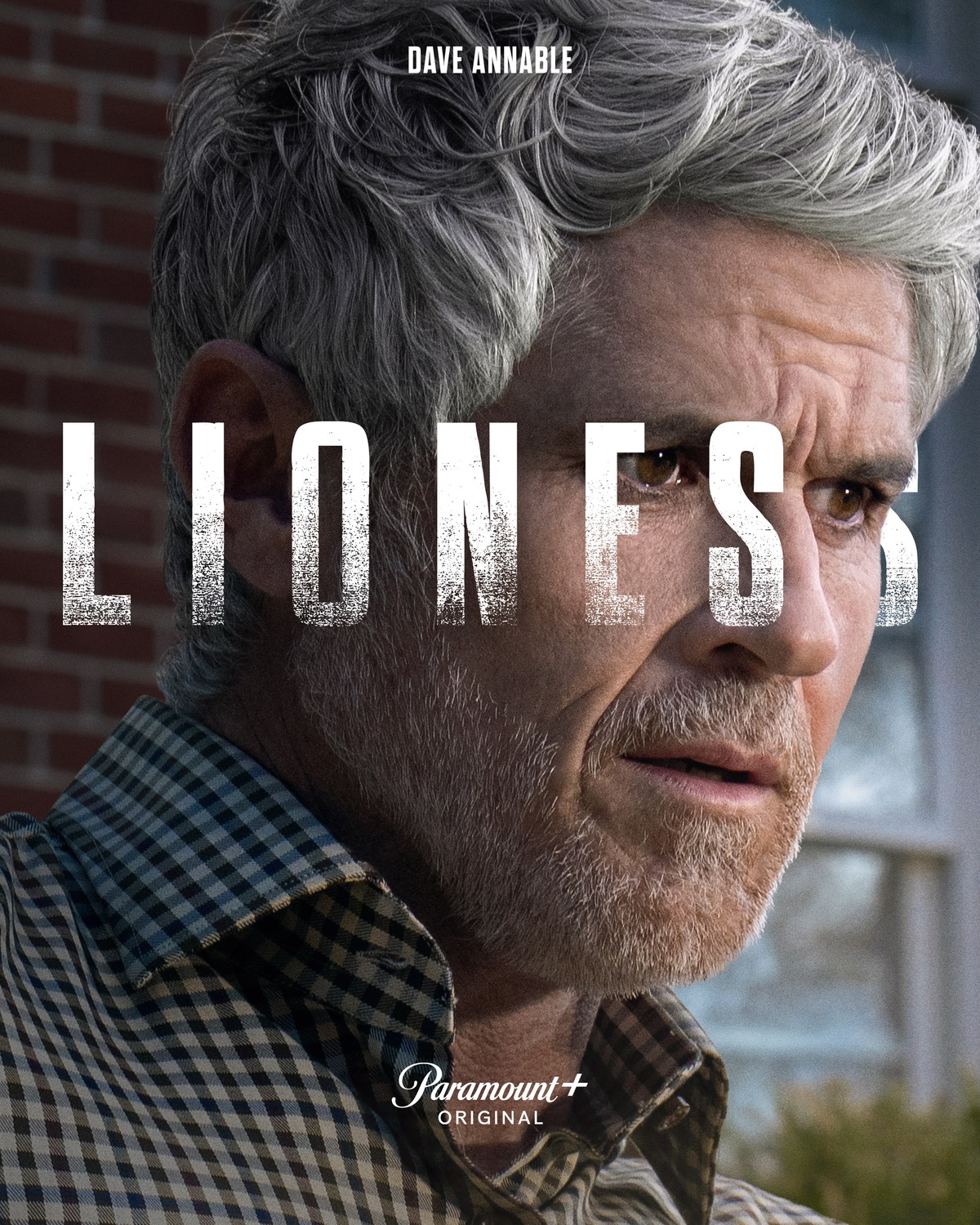 Extra Large TV Poster Image for Special Ops: Lioness (#24 of 28)
