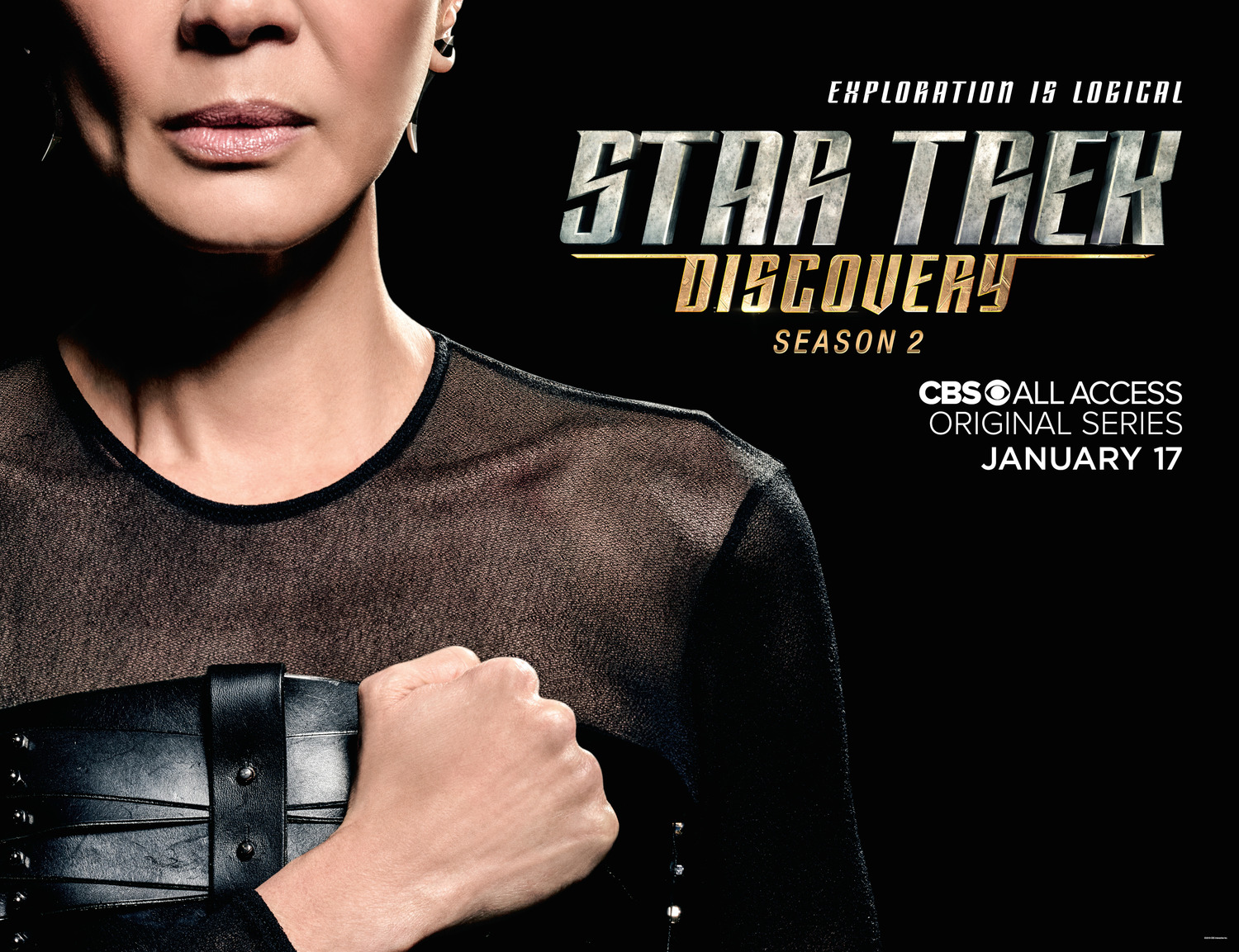 Extra Large TV Poster Image for Star Trek: Discovery (#40 of 49)