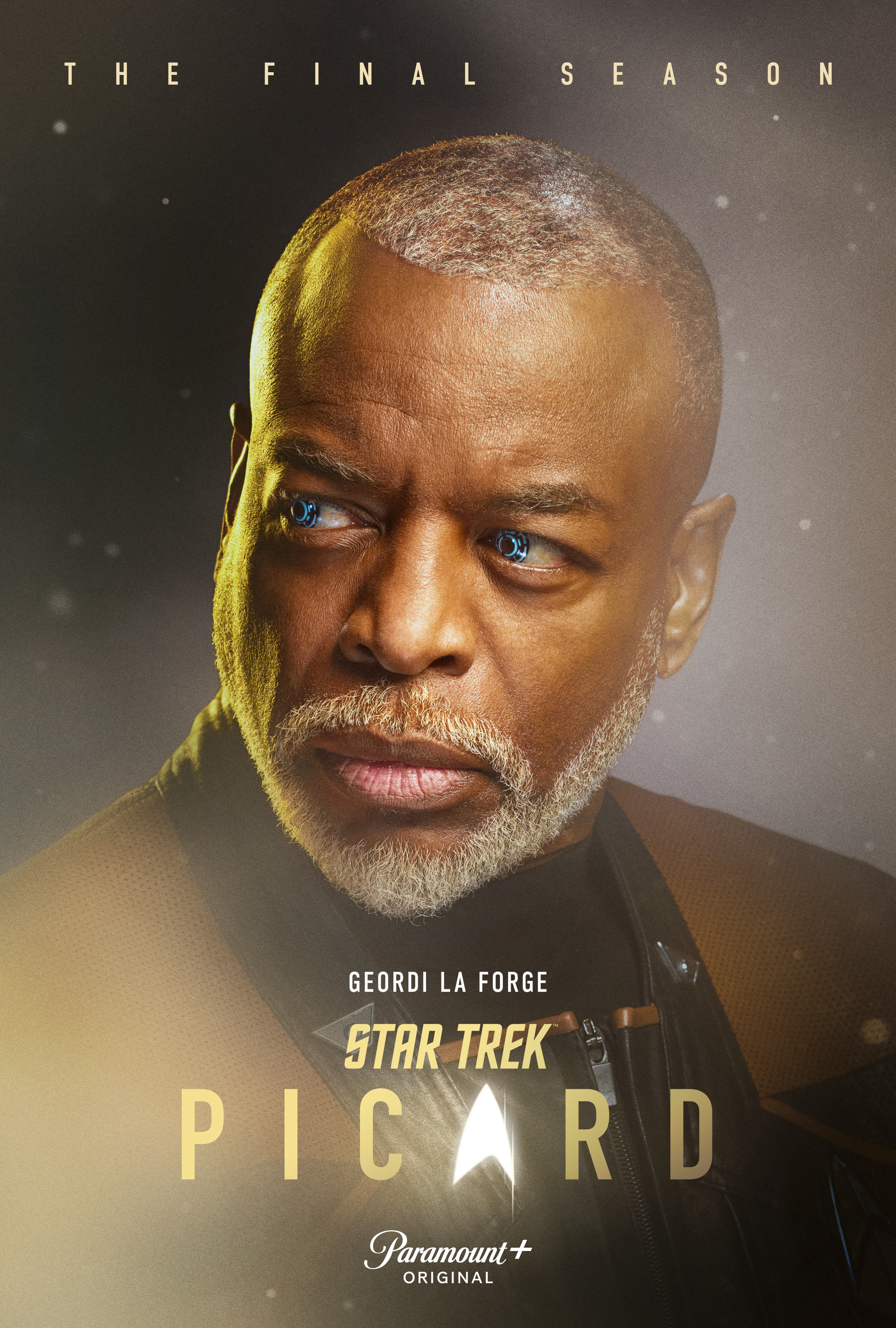 Mega Sized TV Poster Image for Star Trek: Picard (#18 of 26)