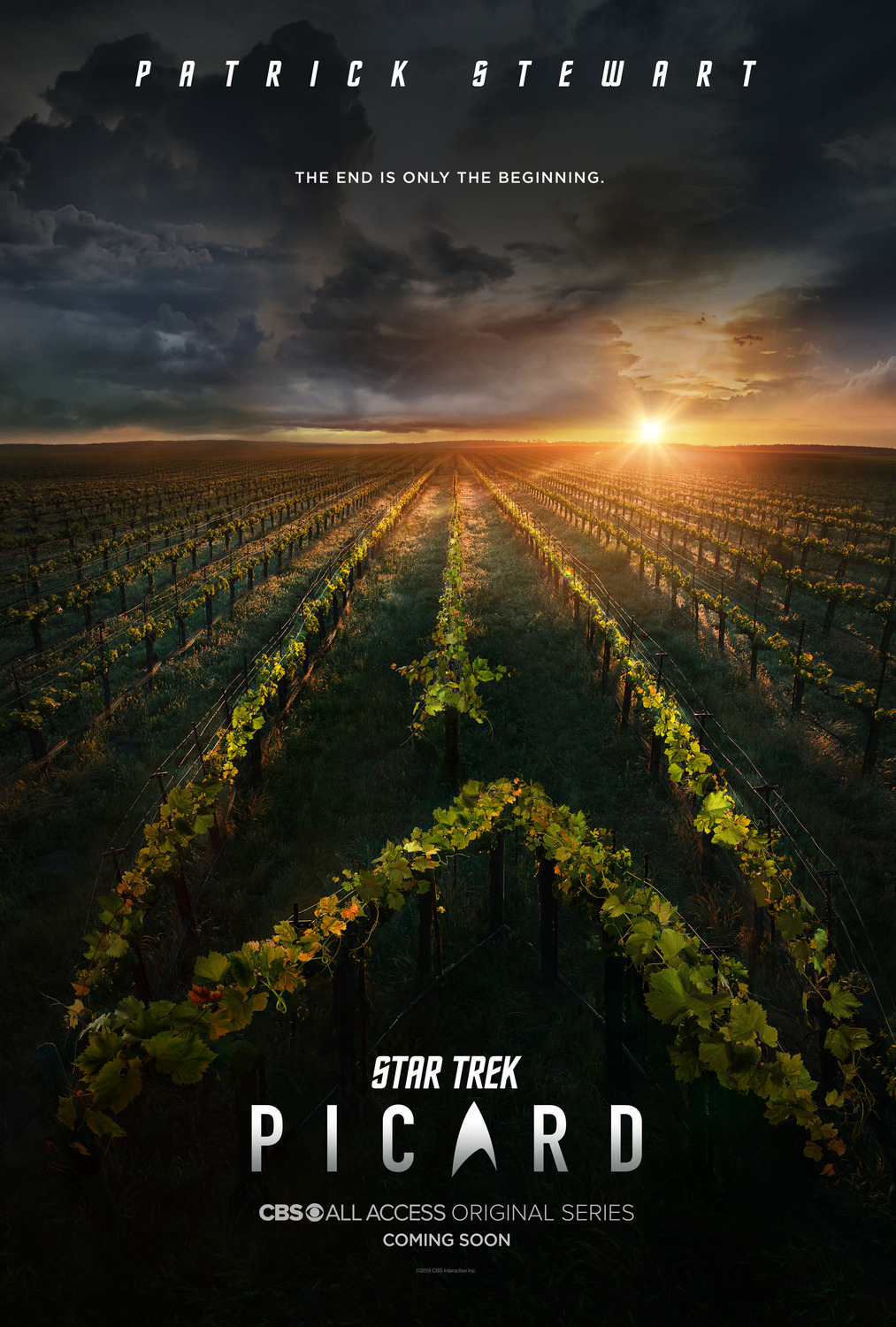 Extra Large TV Poster Image for Star Trek: Picard (#1 of 26)