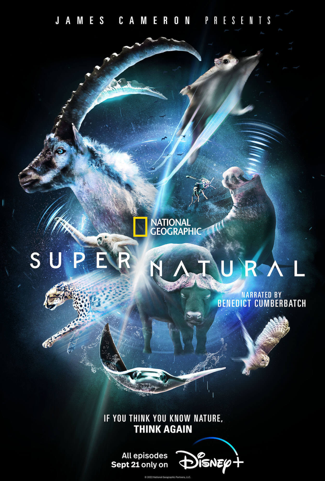 Mega Sized TV Poster Image for Super/Natural 