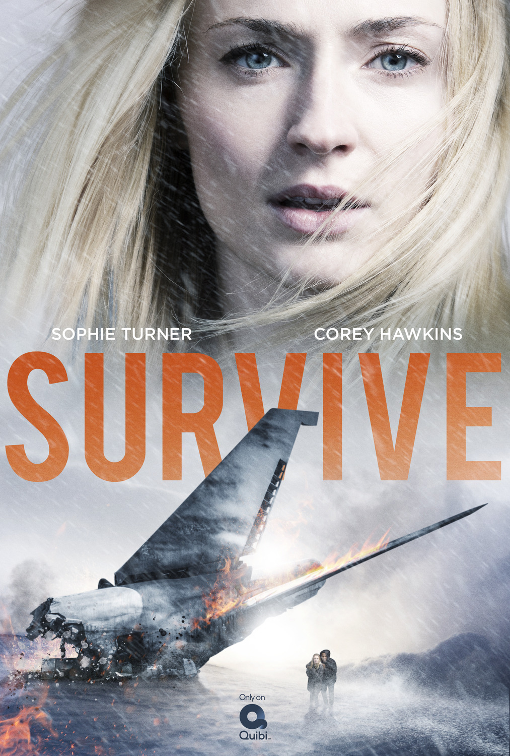 Extra Large TV Poster Image for Survive 