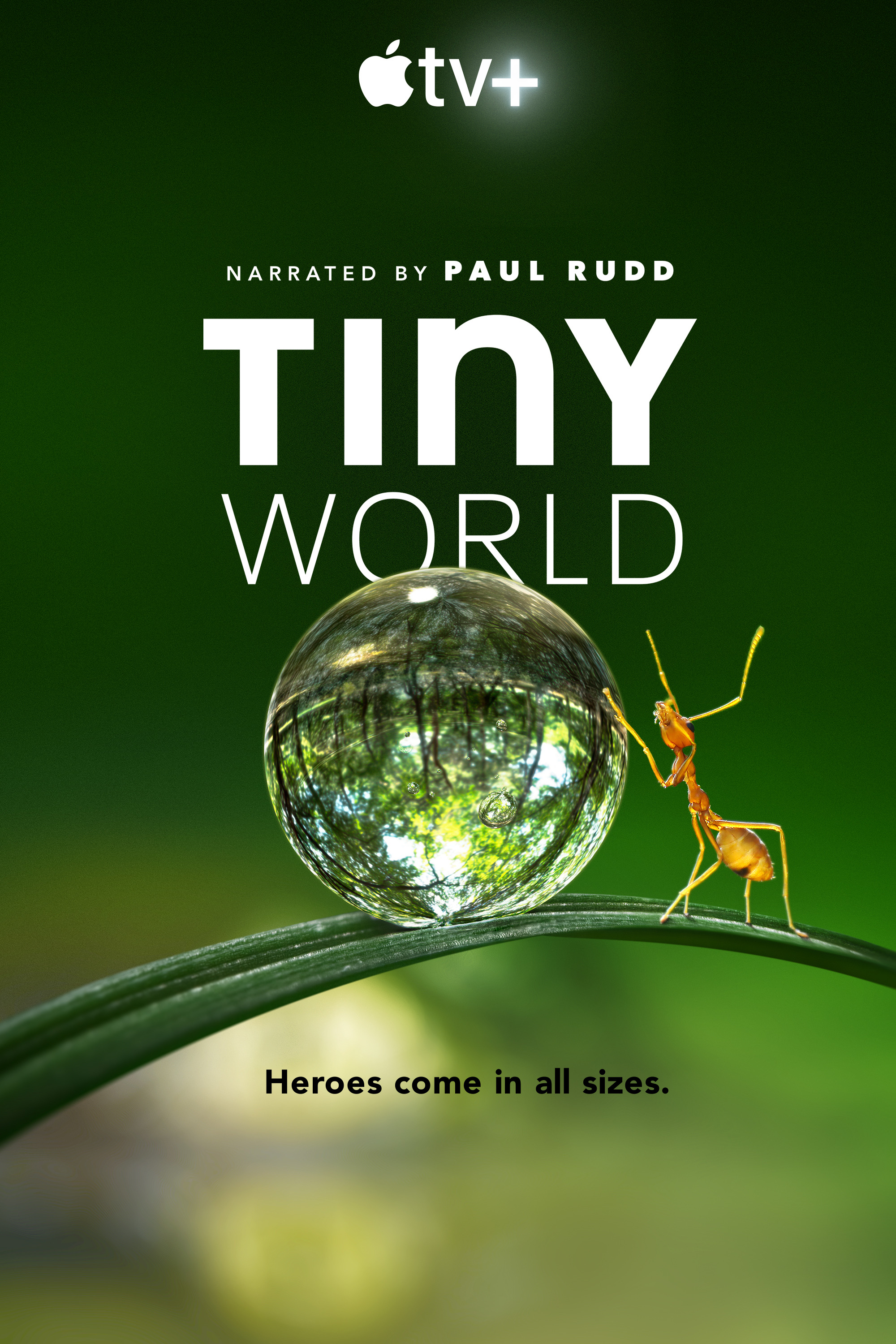 Mega Sized TV Poster Image for Tiny World (#1 of 2)