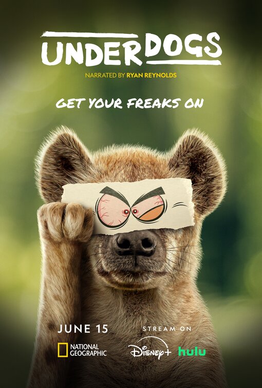 Underdogs Movie Poster