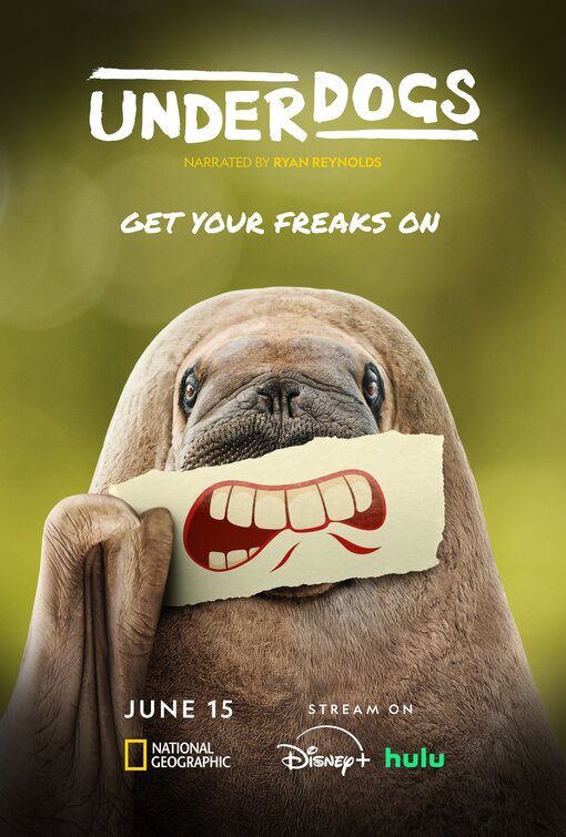 Underdogs Movie Poster