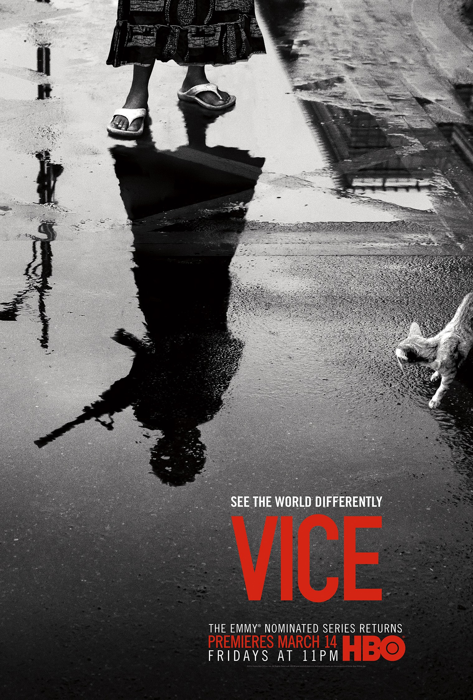 Mega Sized TV Poster Image for Vice (#2 of 10)