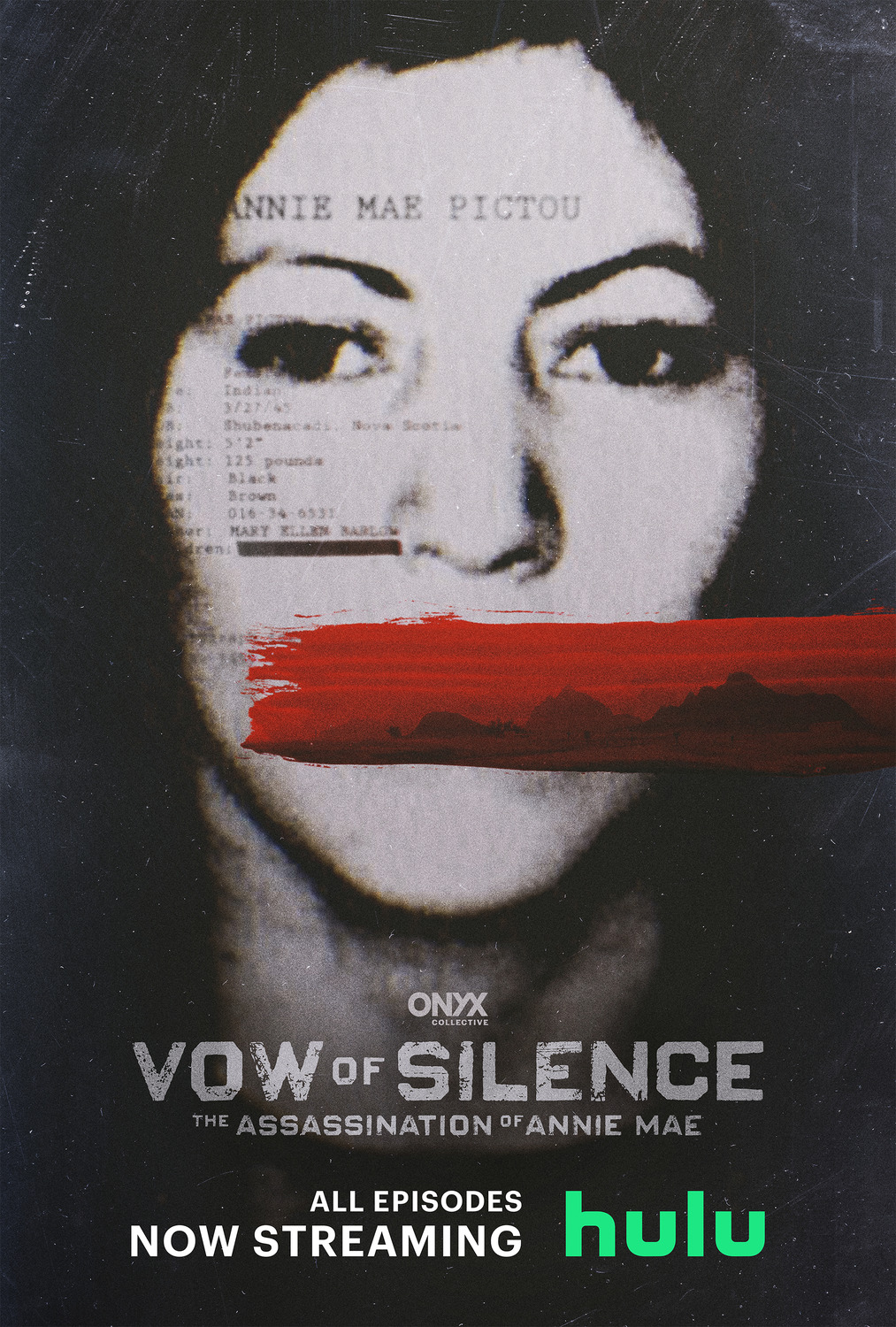 Extra Large TV Poster Image for Vow of Silence: The Assassination of Annie Mae 