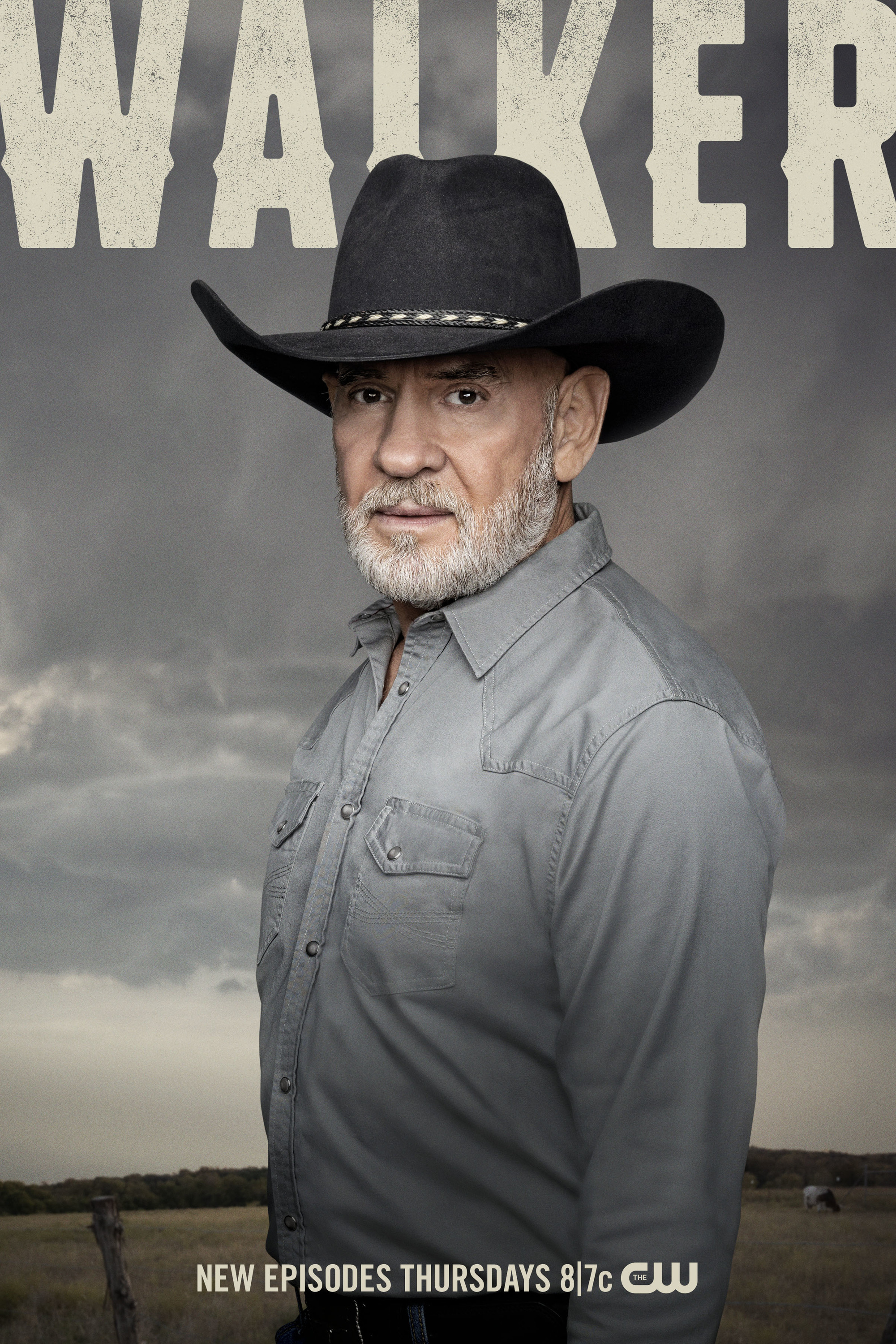 Mega Sized TV Poster Image for Walker (#10 of 15)