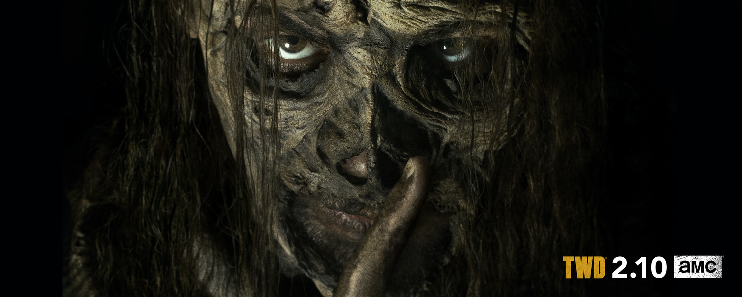 Extra Large TV Poster Image for The Walking Dead (#56 of 67)
