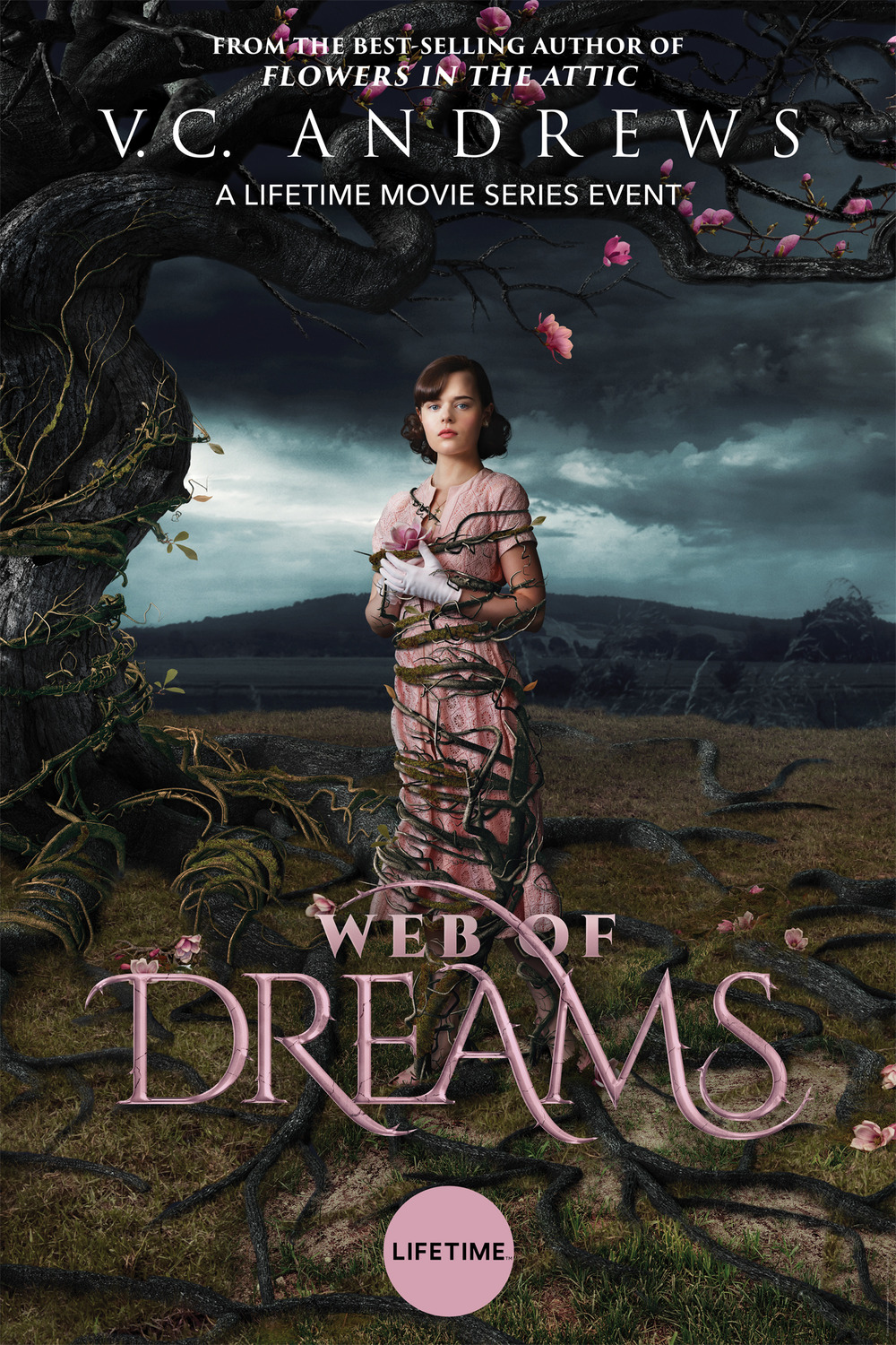 Extra Large TV Poster Image for Web of Dreams 