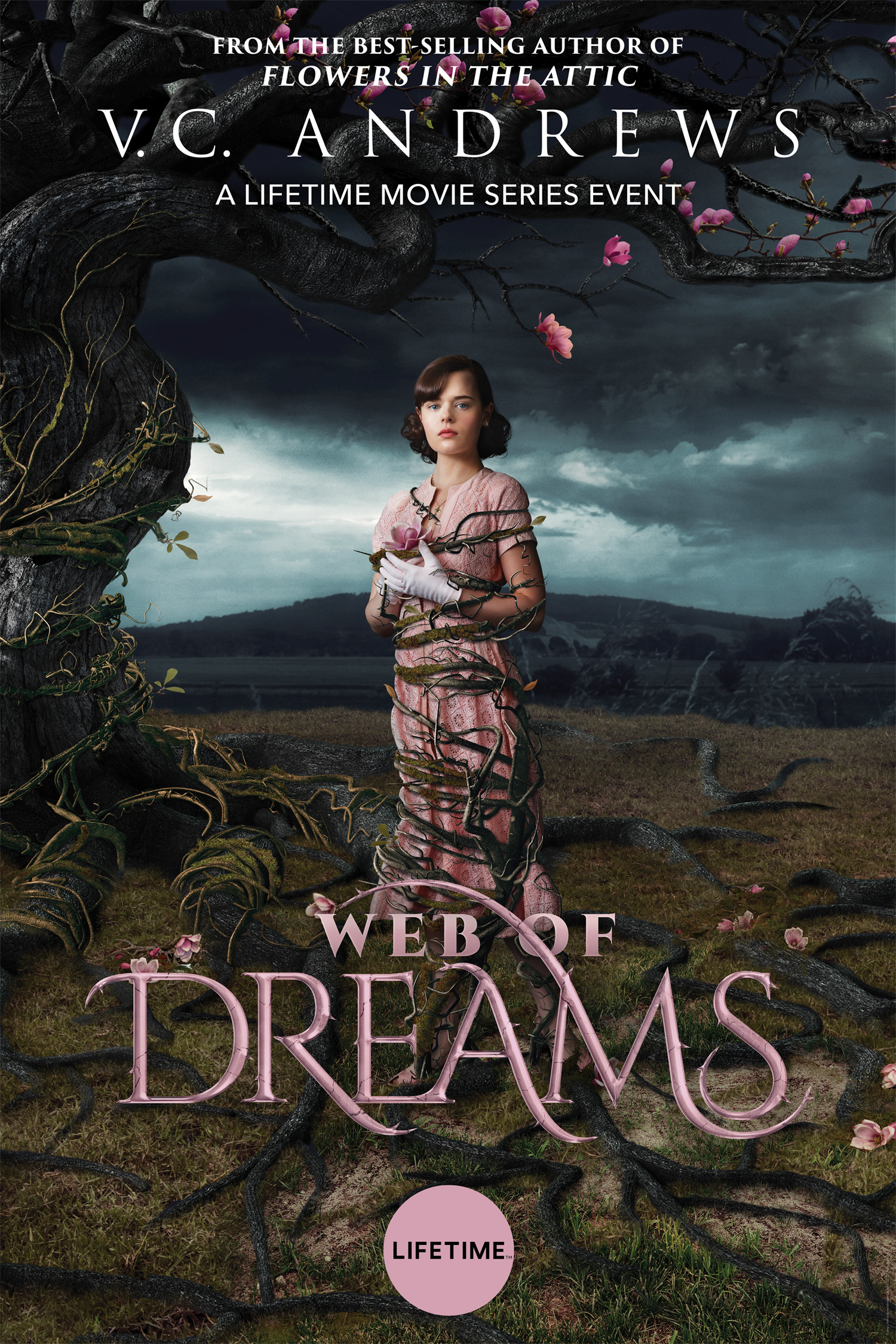 Mega Sized TV Poster Image for Web of Dreams 