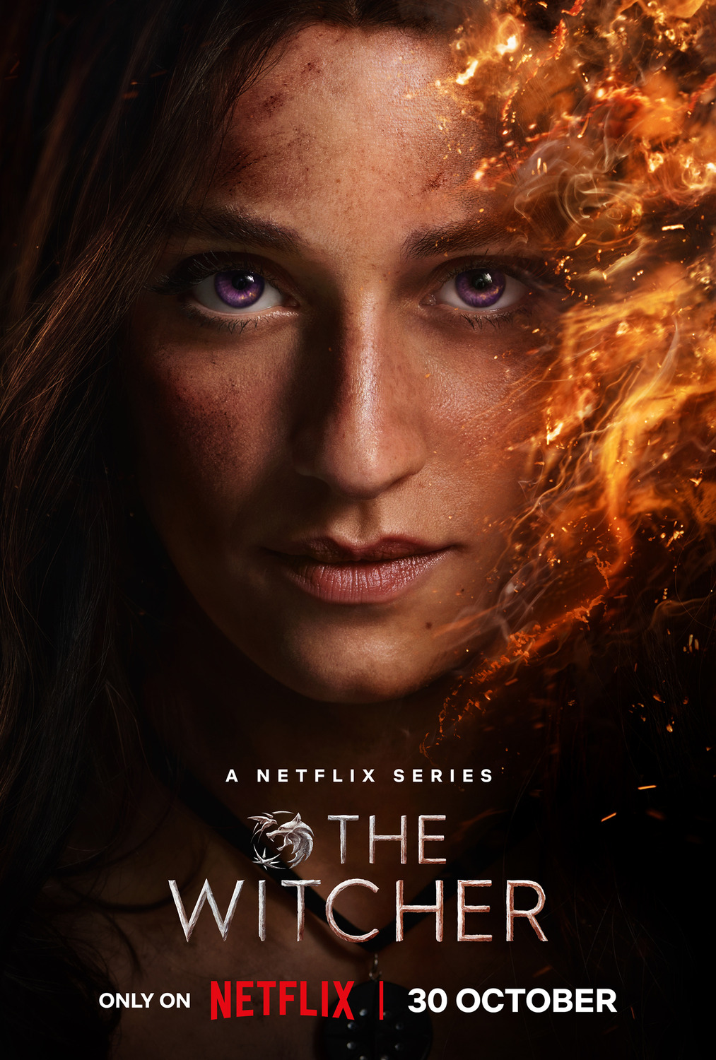 Extra Large TV Poster Image for The Witcher (#28 of 28)