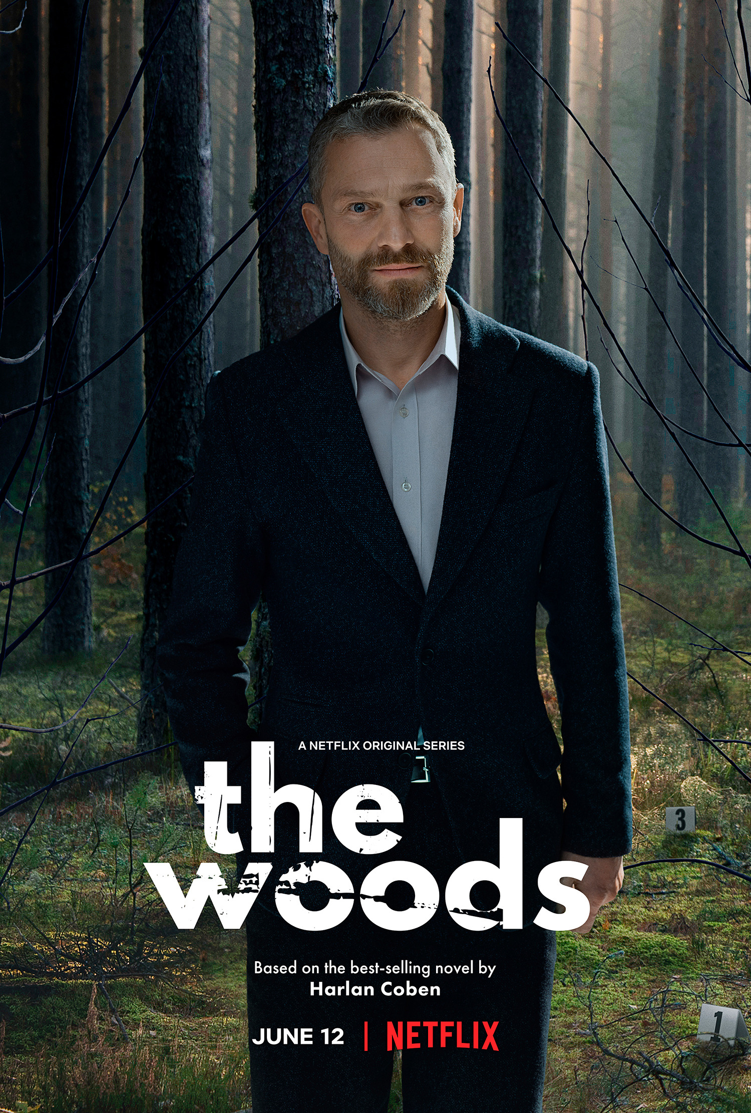 Mega Sized TV Poster Image for The Woods (#2 of 5)