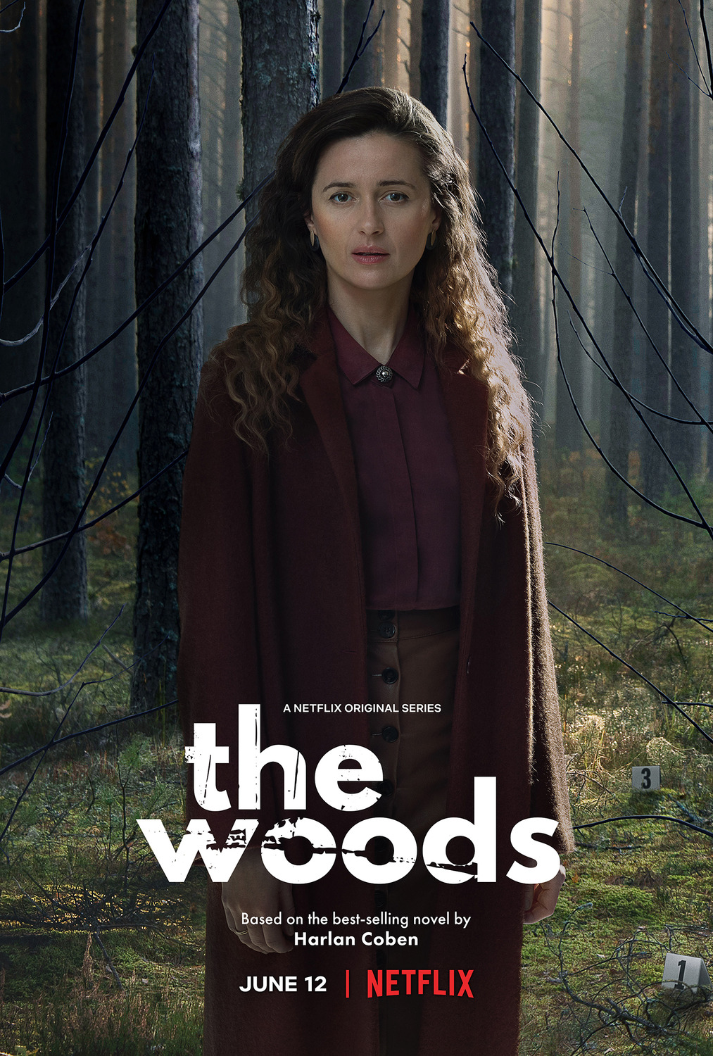 Extra Large TV Poster Image for The Woods (#3 of 5)