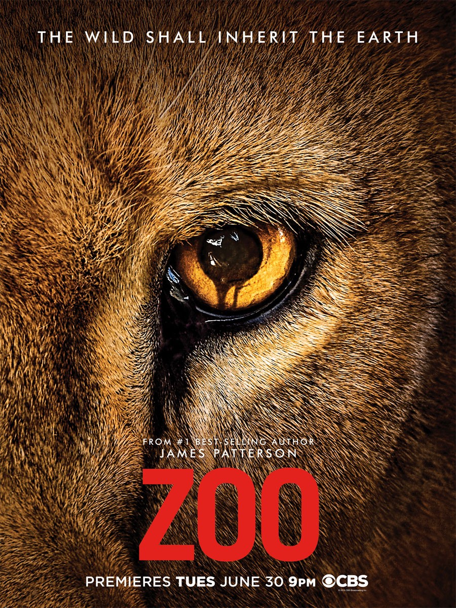 Extra Large TV Poster Image for Zoo 