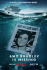Amy Bradley Is Missing  Thumbnail
